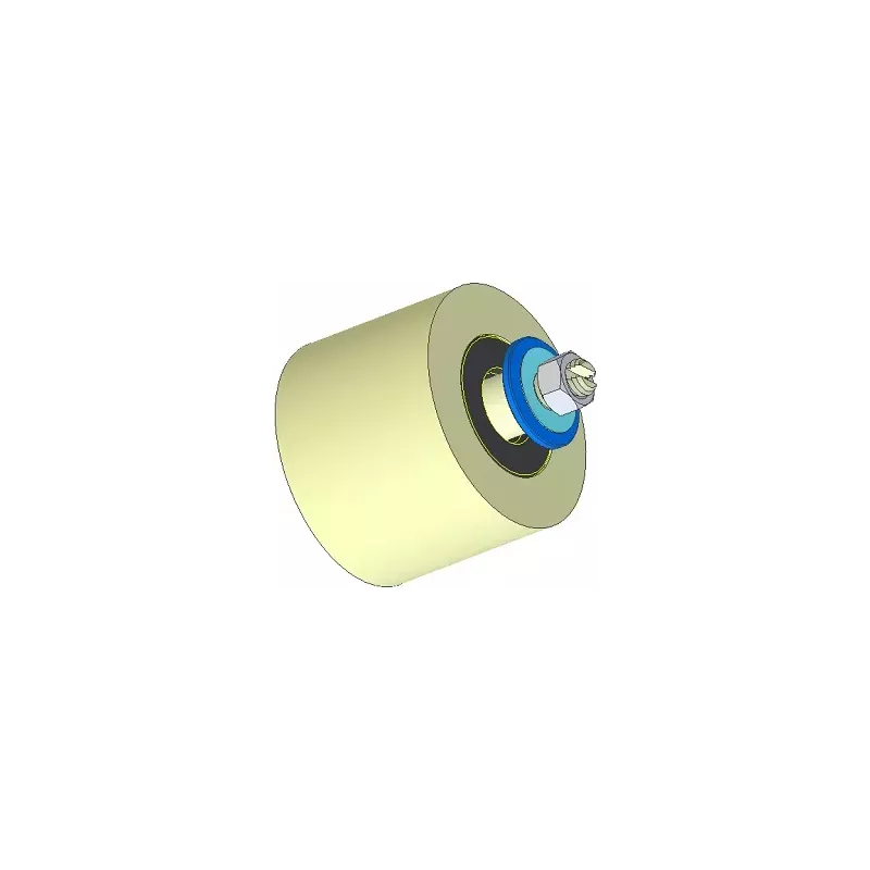 Rolle Nr. 293 – Stützrolle aus Kunststoff Ø80 mm für Maschinen von Dewulf | OEM Dewulf 2660226 | Hersteller KiJ