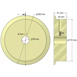 Rolle Nr. 303 – Antriebsrolle aus Kunststoff Ø170 mm für Maschinen von Ploeger | OEM Ploeger 2660222 | Hersteller KiJ