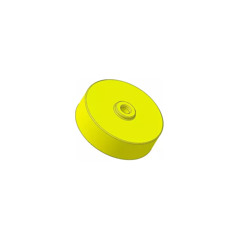 Rolle Nr. 317 – Rolle aus Kunststoff Ø100 mm für Maschinen von Guaresi | OEM Guaresi P7755190000 | Hersteller KiJ